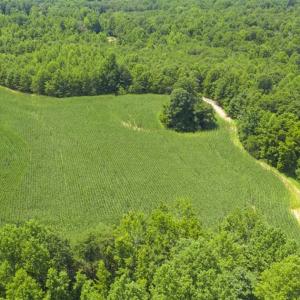 Photo of UNDER CONTRACT!!  123.19 +/- Acres of Farm and Recreational Land For Sale in Person County, NC!