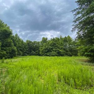Photo of UNDER CONTRACT!!  123.19 +/- Acres of Farm and Recreational Land For Sale in Person County, NC!