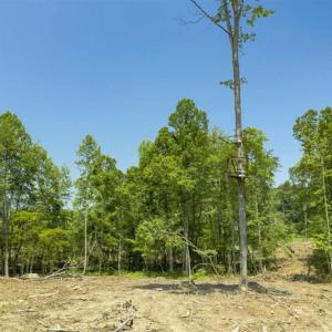 Photo of UNDER CONTRACT!!  123.19 +/- Acres of Farm and Recreational Land For Sale in Person County, NC!