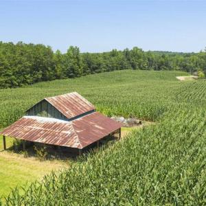 Photo of UNDER CONTRACT!!  123.19 +/- Acres of Farm and Recreational Land For Sale in Person County, NC!
