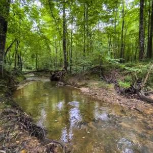 Photo of UNDER CONTRACT!!  123.19 +/- Acres of Farm and Recreational Land For Sale in Person County, NC!