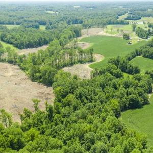 Photo of UNDER CONTRACT!!  123.19 +/- Acres of Farm and Recreational Land For Sale in Person County, NC!