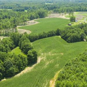 Photo of UNDER CONTRACT!!  123.19 +/- Acres of Farm and Recreational Land For Sale in Person County, NC!