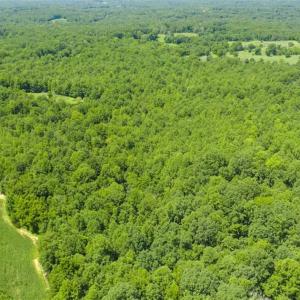 Photo of UNDER CONTRACT!!  123.19 +/- Acres of Farm and Recreational Land For Sale in Person County, NC!