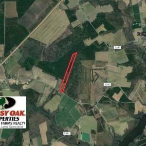 Photo of SOLD!!  21 Acres of Hunting and Timber Land For Sale in Perquimans County NC!