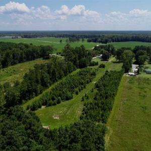 Photo of SOLD!!  21 Acres of Hunting and Timber Land For Sale in Perquimans County NC!