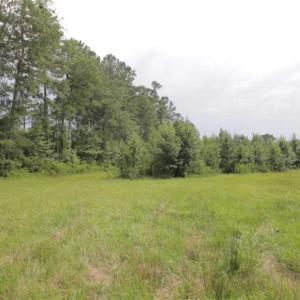Photo of SOLD!!  21 Acres of Hunting and Timber Land For Sale in Perquimans County NC!