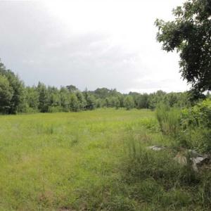 Photo of SOLD!!  21 Acres of Hunting and Timber Land For Sale in Perquimans County NC!