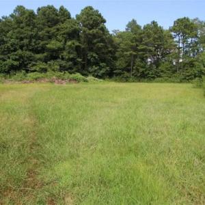 Photo of SOLD!!  21 Acres of Hunting and Timber Land For Sale in Perquimans County NC!