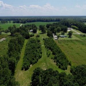 Photo of SOLD!!  21 Acres of Hunting and Timber Land For Sale in Perquimans County NC!