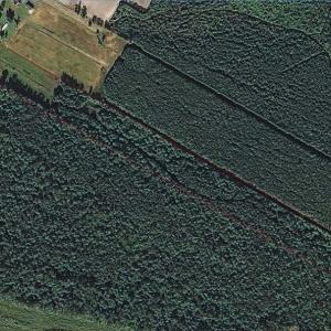 Photo of SOLD!!  21 Acres of Hunting and Timber Land For Sale in Perquimans County NC!