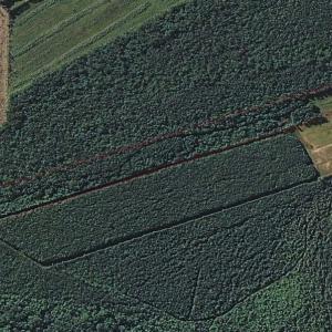 Photo of SOLD!!  21 Acres of Hunting and Timber Land For Sale in Perquimans County NC!