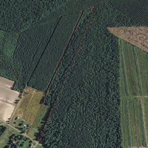Photo of SOLD!!  21 Acres of Hunting and Timber Land For Sale in Perquimans County NC!