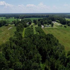 Photo of SOLD!!  21 Acres of Hunting and Timber Land For Sale in Perquimans County NC!