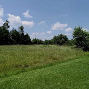 Photo of SOLD!!  21 Acres of Hunting and Timber Land For Sale in Perquimans County NC!