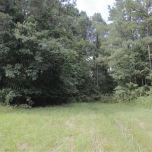 Photo of SOLD!!  21 Acres of Hunting and Timber Land For Sale in Perquimans County NC!