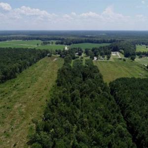 Photo of SOLD!!  21 Acres of Hunting and Timber Land For Sale in Perquimans County NC!