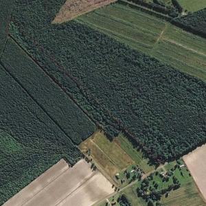 Photo of SOLD!!  21 Acres of Hunting and Timber Land For Sale in Perquimans County NC!