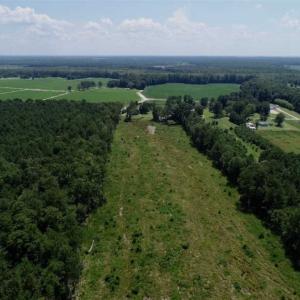 Photo of SOLD!!  23 Acres Hunting and Timber Land For Sale in Perquimans County NC!