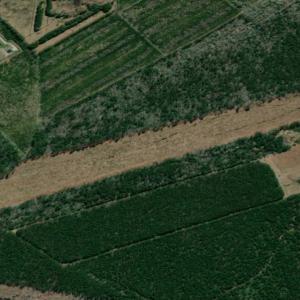 Photo of SOLD!!  23 Acres Hunting and Timber Land For Sale in Perquimans County NC!