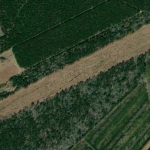 Photo of SOLD!!  23 Acres Hunting and Timber Land For Sale in Perquimans County NC!