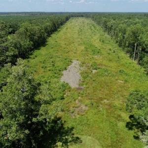 Photo of SOLD!!  23 Acres Hunting and Timber Land For Sale in Perquimans County NC!