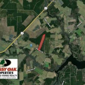 Photo of SOLD!!  23 Acres Hunting and Timber Land For Sale in Perquimans County NC!