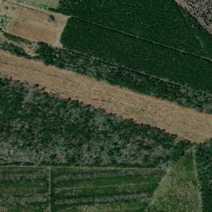 Photo of SOLD!!  23 Acres Hunting and Timber Land For Sale in Perquimans County NC!