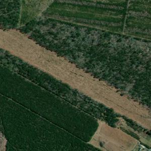 Photo of SOLD!!  23 Acres Hunting and Timber Land For Sale in Perquimans County NC!