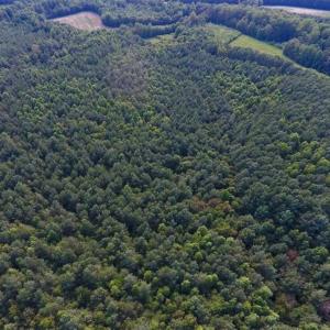 Photo of SOLD!!  65.24 Acres of Timber and Hunting Land For Sale in Nash County NC!