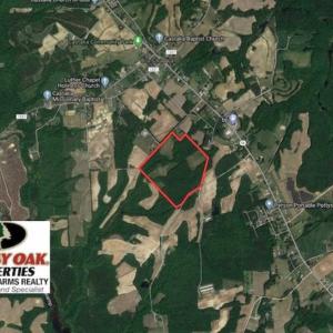 Photo of SOLD!!  65.24 Acres of Timber and Hunting Land For Sale in Nash County NC!