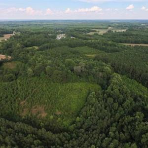 Photo of SOLD!!  65.24 Acres of Timber and Hunting Land For Sale in Nash County NC!
