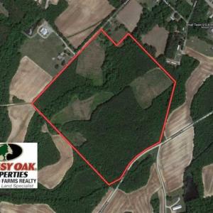 Photo of SOLD!!  65.24 Acres of Timber and Hunting Land For Sale in Nash County NC!