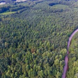 Photo of SOLD!!  65.24 Acres of Timber and Hunting Land For Sale in Nash County NC!