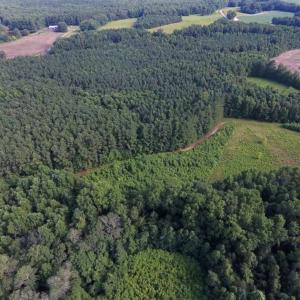 Photo of SOLD!!  65.24 Acres of Timber and Hunting Land For Sale in Nash County NC!