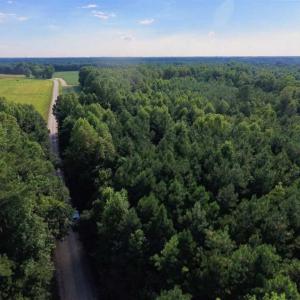 Photo of SOLD!!  65.24 Acres of Timber and Hunting Land For Sale in Nash County NC!