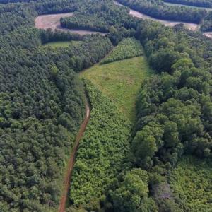 Photo of SOLD!!  65.24 Acres of Timber and Hunting Land For Sale in Nash County NC!