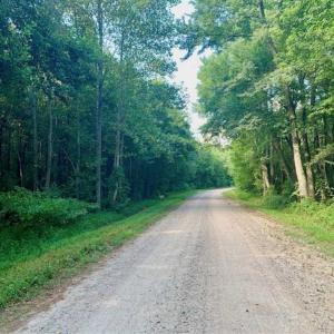 Photo of SOLD!!  65.24 Acres of Timber and Hunting Land For Sale in Nash County NC!