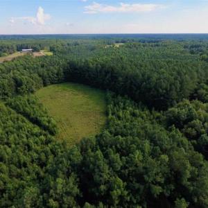 Photo of SOLD!!  65.24 Acres of Timber and Hunting Land For Sale in Nash County NC!