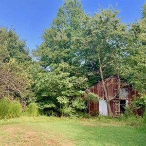 Photo of SOLD!!  65.24 Acres of Timber and Hunting Land For Sale in Nash County NC!