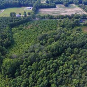 Photo of SOLD!!  65.24 Acres of Timber and Hunting Land For Sale in Nash County NC!