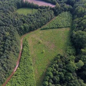 Photo of SOLD!!  65.24 Acres of Timber and Hunting Land For Sale in Nash County NC!