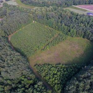 Photo of SOLD!!  65.24 Acres of Timber and Hunting Land For Sale in Nash County NC!