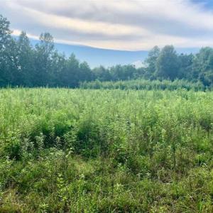 Photo of SOLD!!  65.24 Acres of Timber and Hunting Land For Sale in Nash County NC!