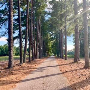 Photo of SOLD!!  65.24 Acres of Timber and Hunting Land For Sale in Nash County NC!