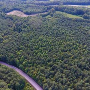 Photo of SOLD!!  65.24 Acres of Timber and Hunting Land For Sale in Nash County NC!