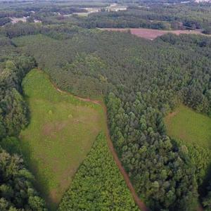Photo of SOLD!!  65.24 Acres of Timber and Hunting Land For Sale in Nash County NC!