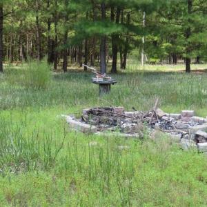 Photo of 98.03 Acres of Hunting and Timber Land for Sale in Horry County SC!