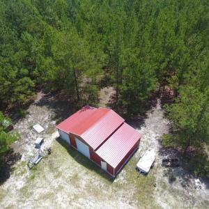 Photo of 98.03 Acres of Hunting and Timber Land for Sale in Horry County SC!