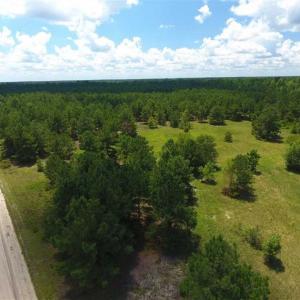 Photo of 98.03 Acres of Hunting and Timber Land for Sale in Horry County SC!